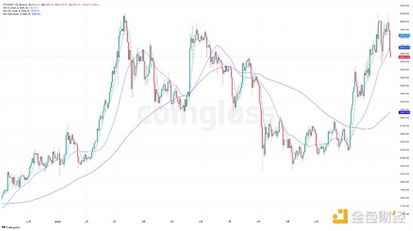 2024 Ј 2025 չDƬ